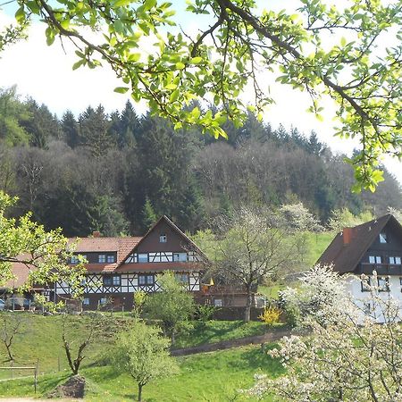 Ferienhof Fischer Seebach Εξωτερικό φωτογραφία