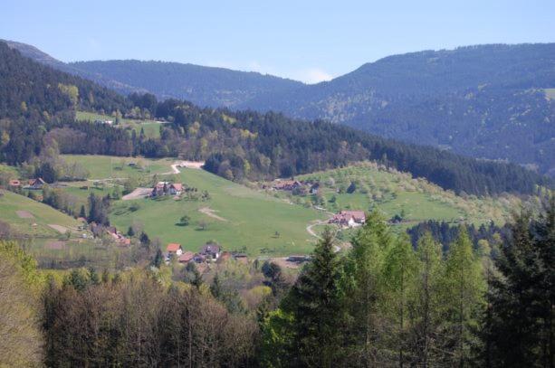 Ferienhof Fischer Seebach Εξωτερικό φωτογραφία