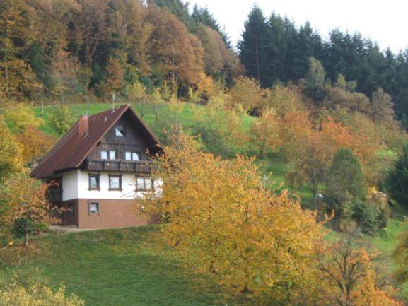 Ferienhof Fischer Seebach Εξωτερικό φωτογραφία