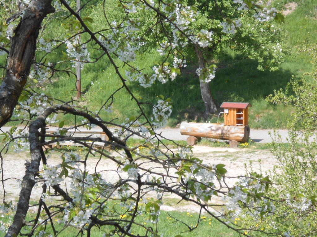 Ferienhof Fischer Seebach Εξωτερικό φωτογραφία